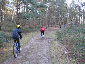Wedel 028